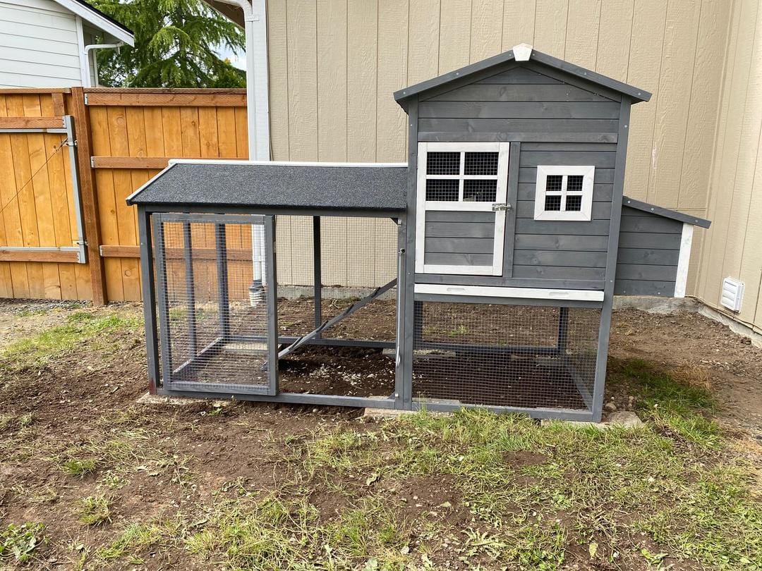 The Lodge Coop. IN-STOCK