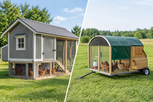 Fixed Versus Portable Chicken Coops Compared