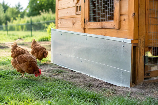 How to Build a Predator Apron for Your Coop