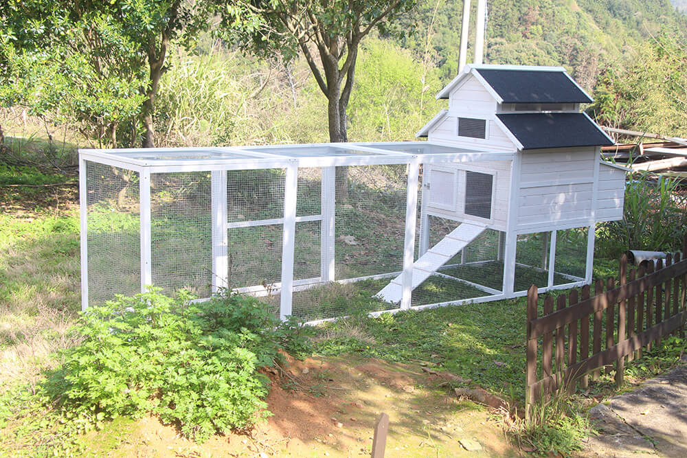 The Homestead House Only