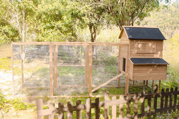Resort Chicken Coop and Run