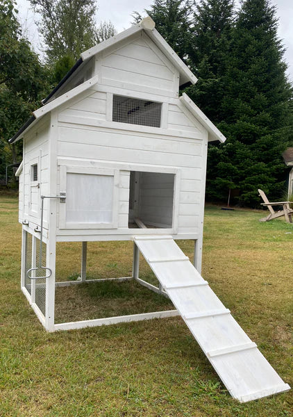 The Homestead House and Run