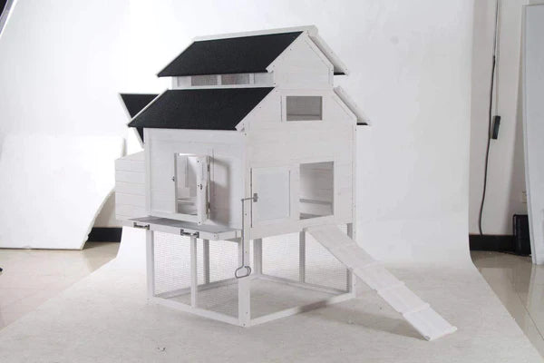 The Homestead House and Run