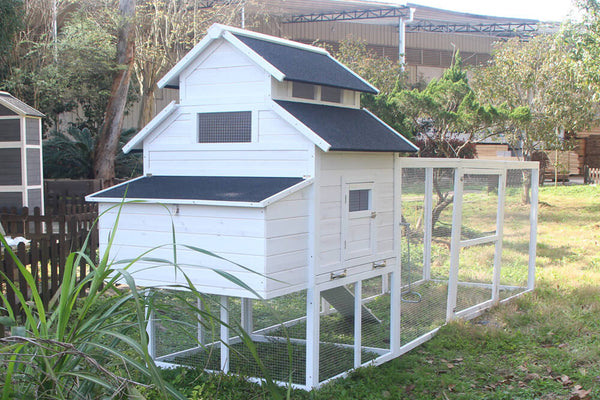 The Homestead House and Run