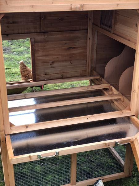 Resort Chicken Coop and Run