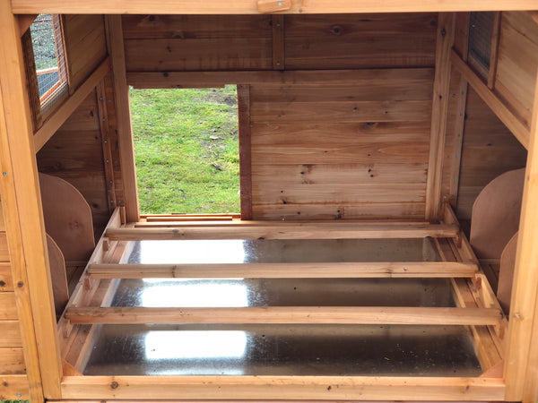 Resort Chicken Coop House