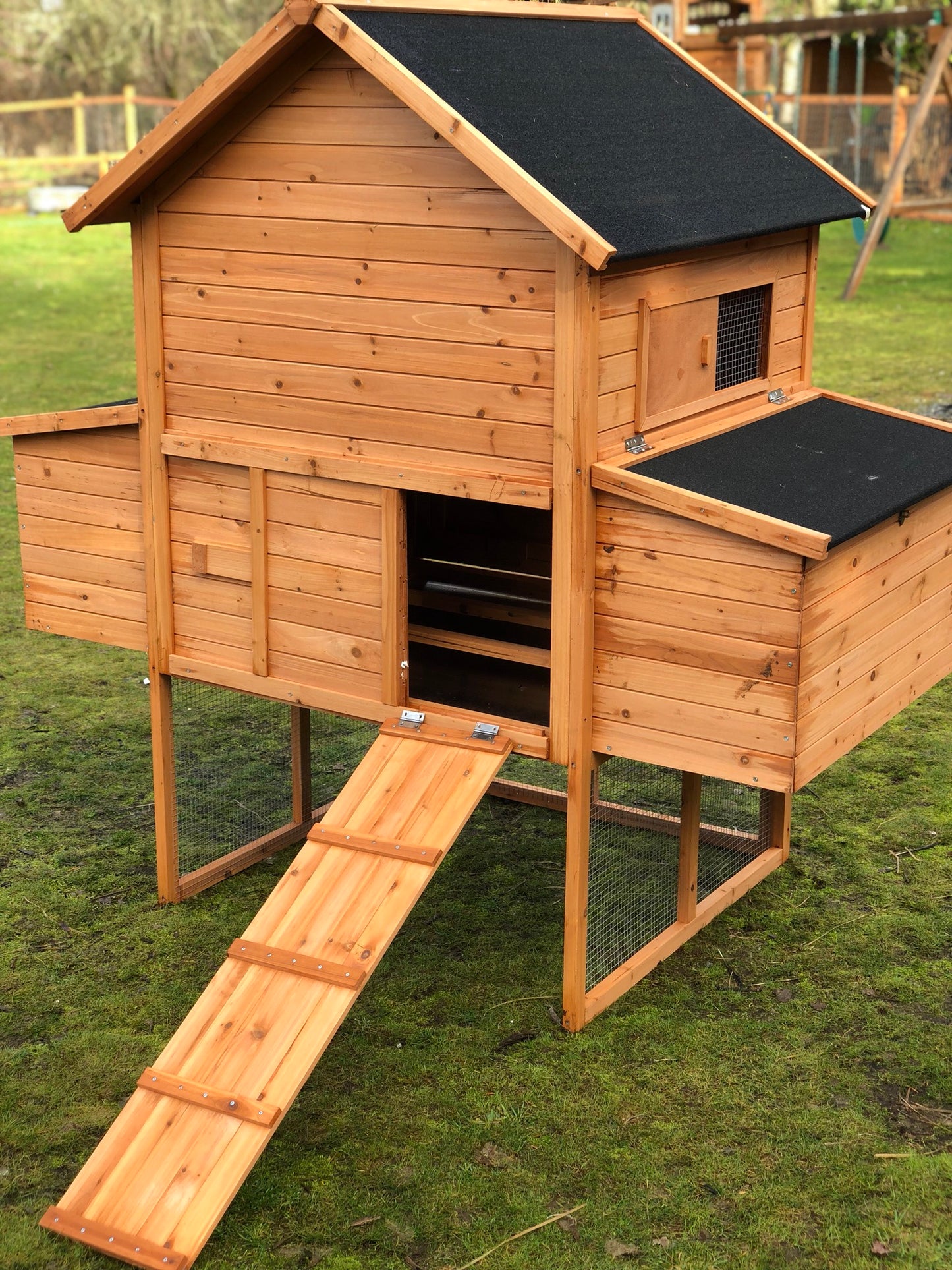 Resort Chicken Coop House