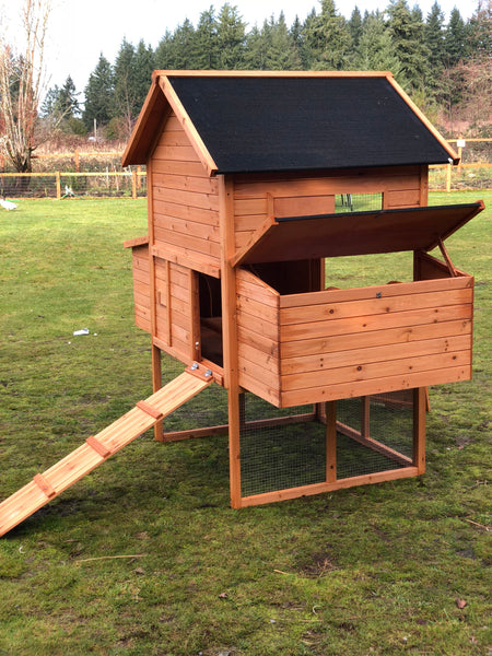Resort Chicken Coop House