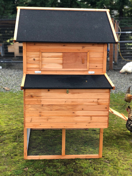 Resort Chicken Coop House
