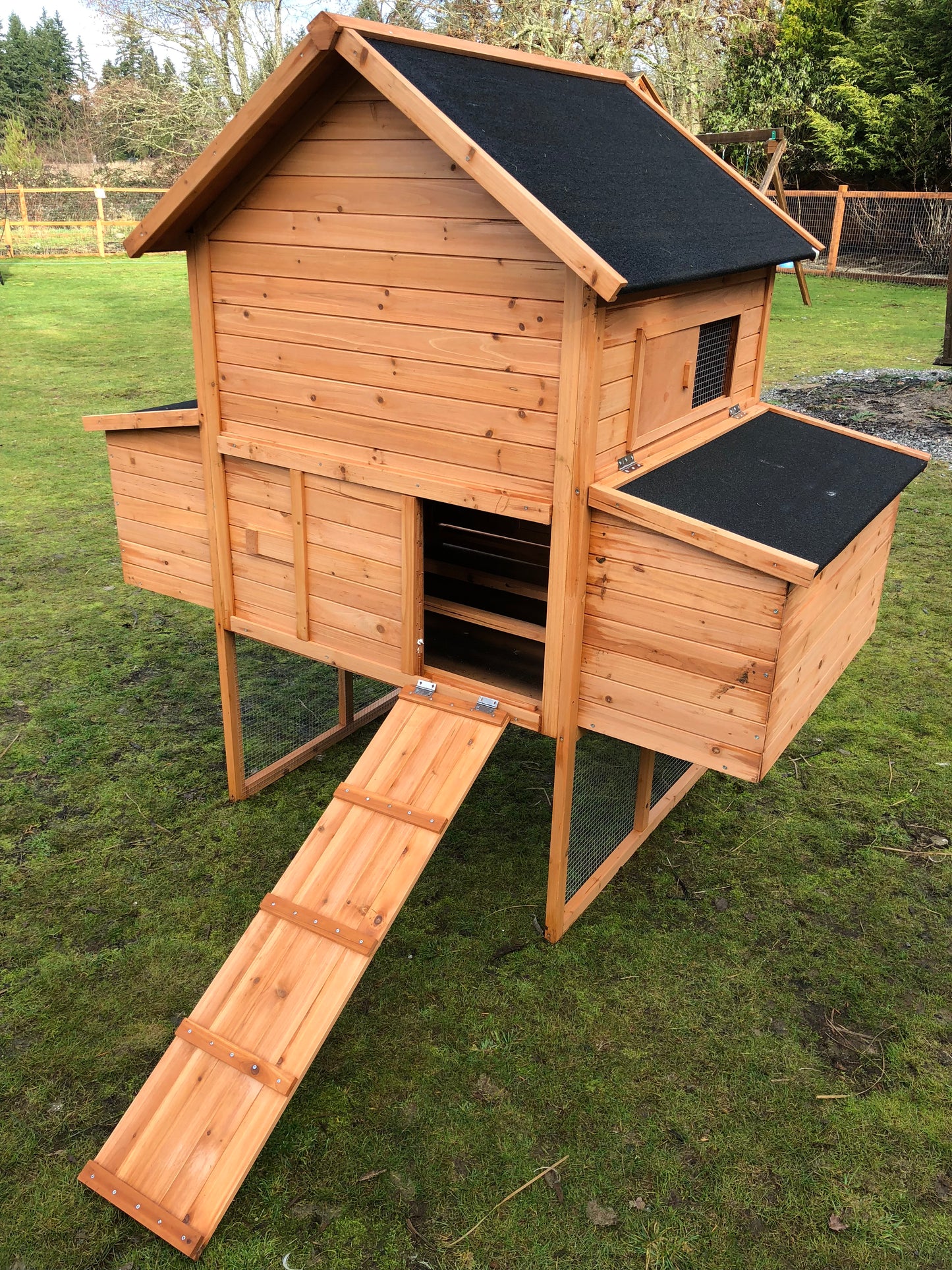Resort Chicken Coop House