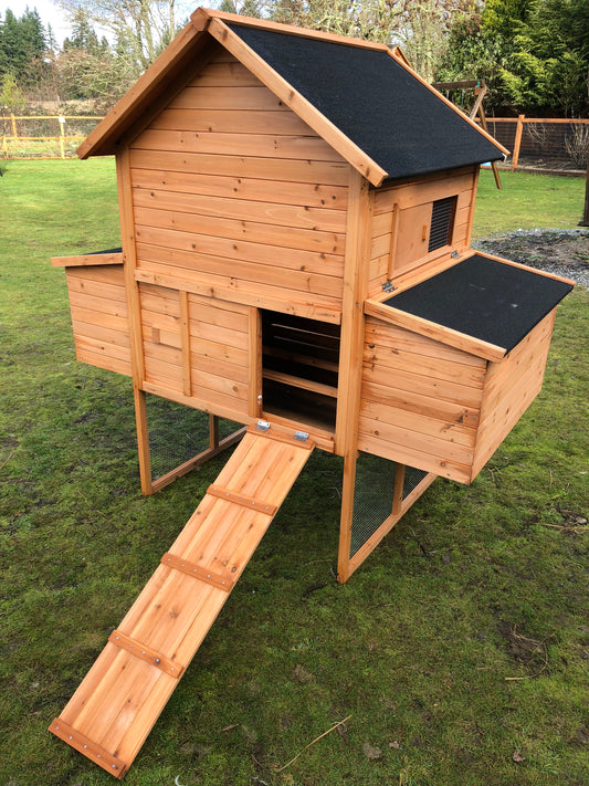 Resort Chicken Coop House
