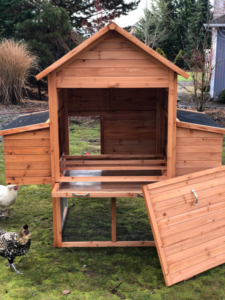 Resort Chicken Coop House