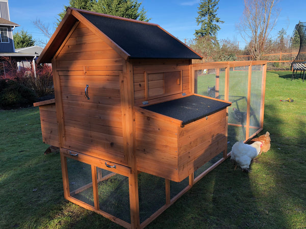 Resort Chicken Coop House