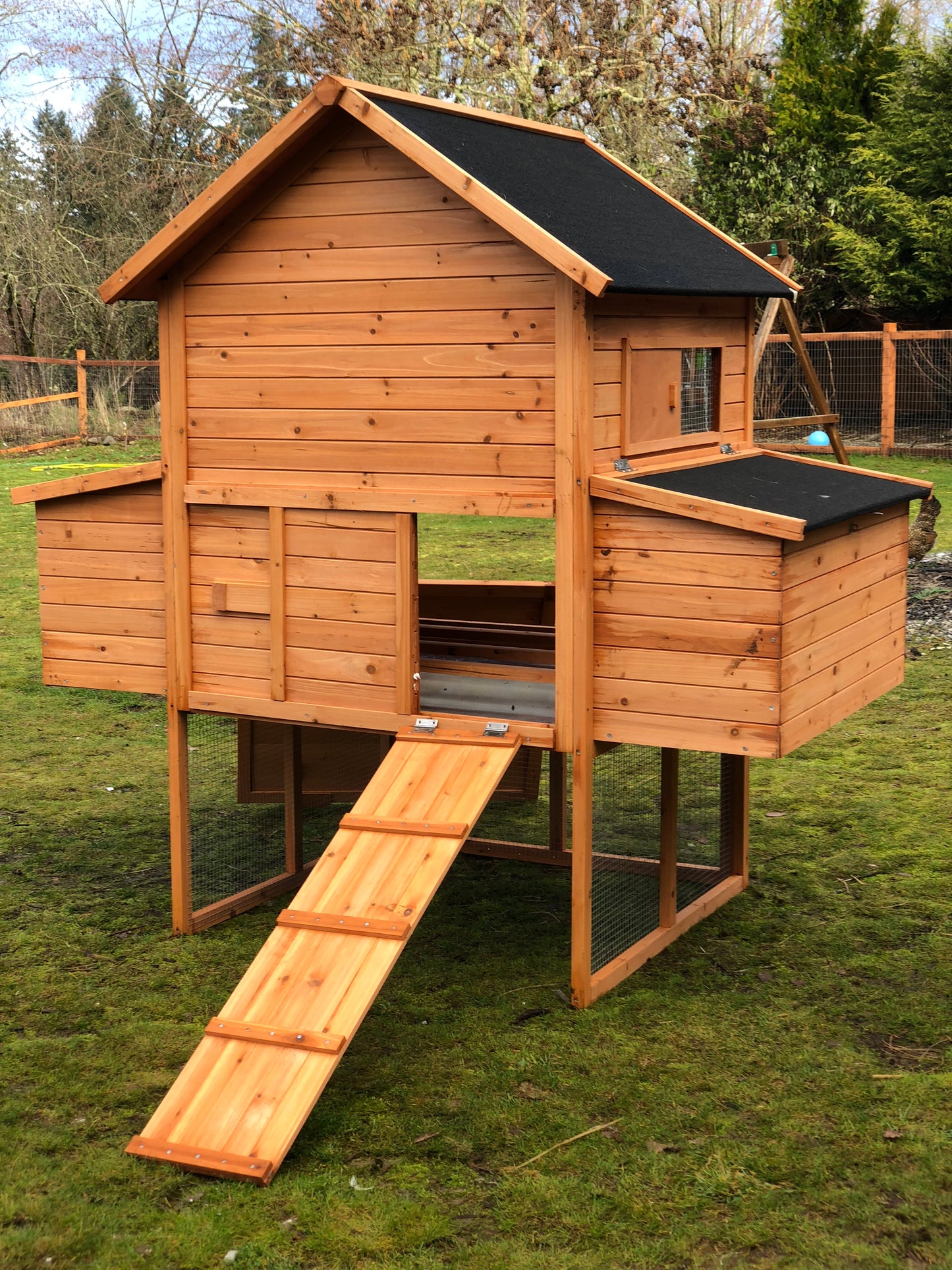 Resort Chicken Coop House