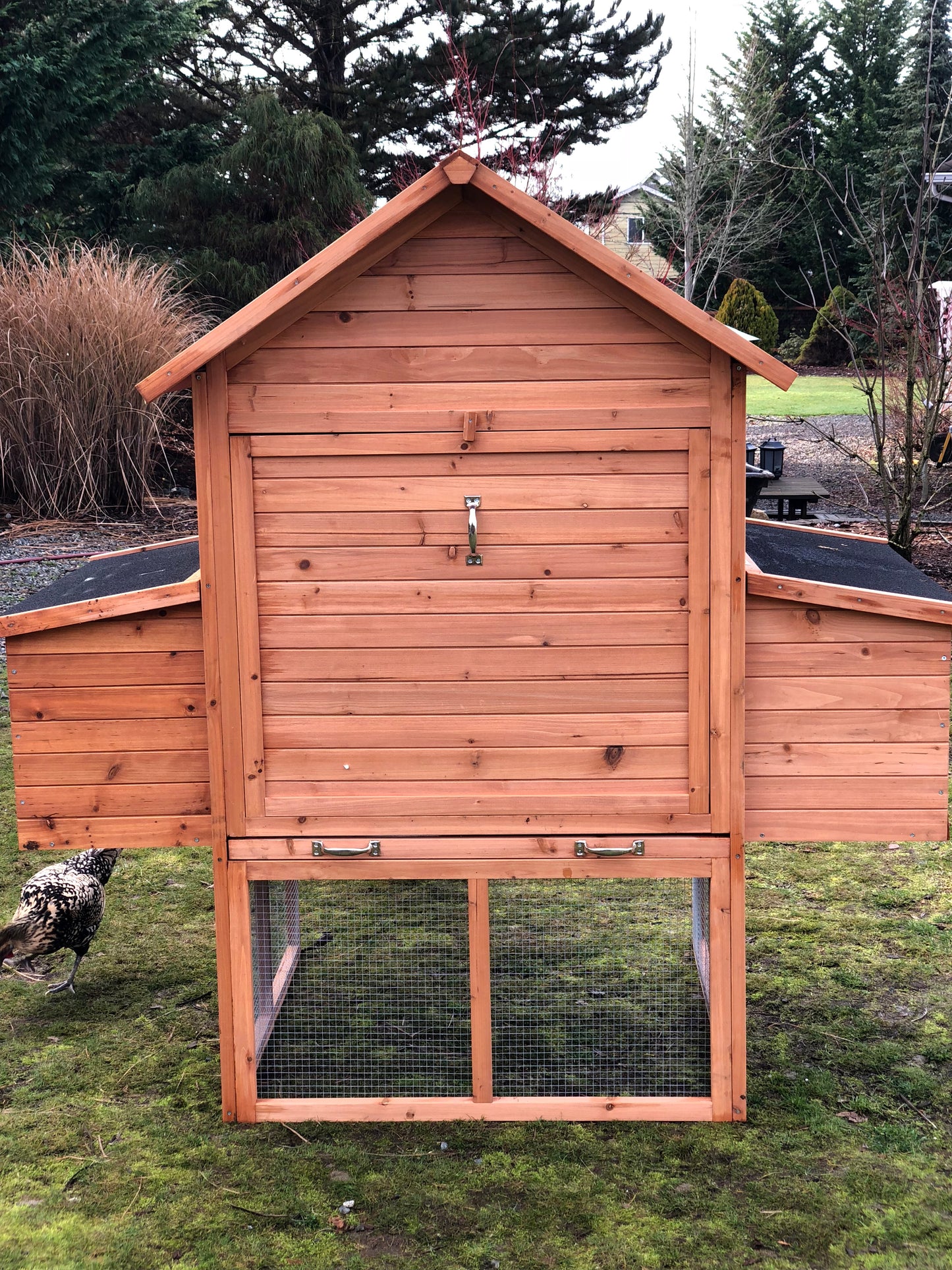Resort Chicken Coop House