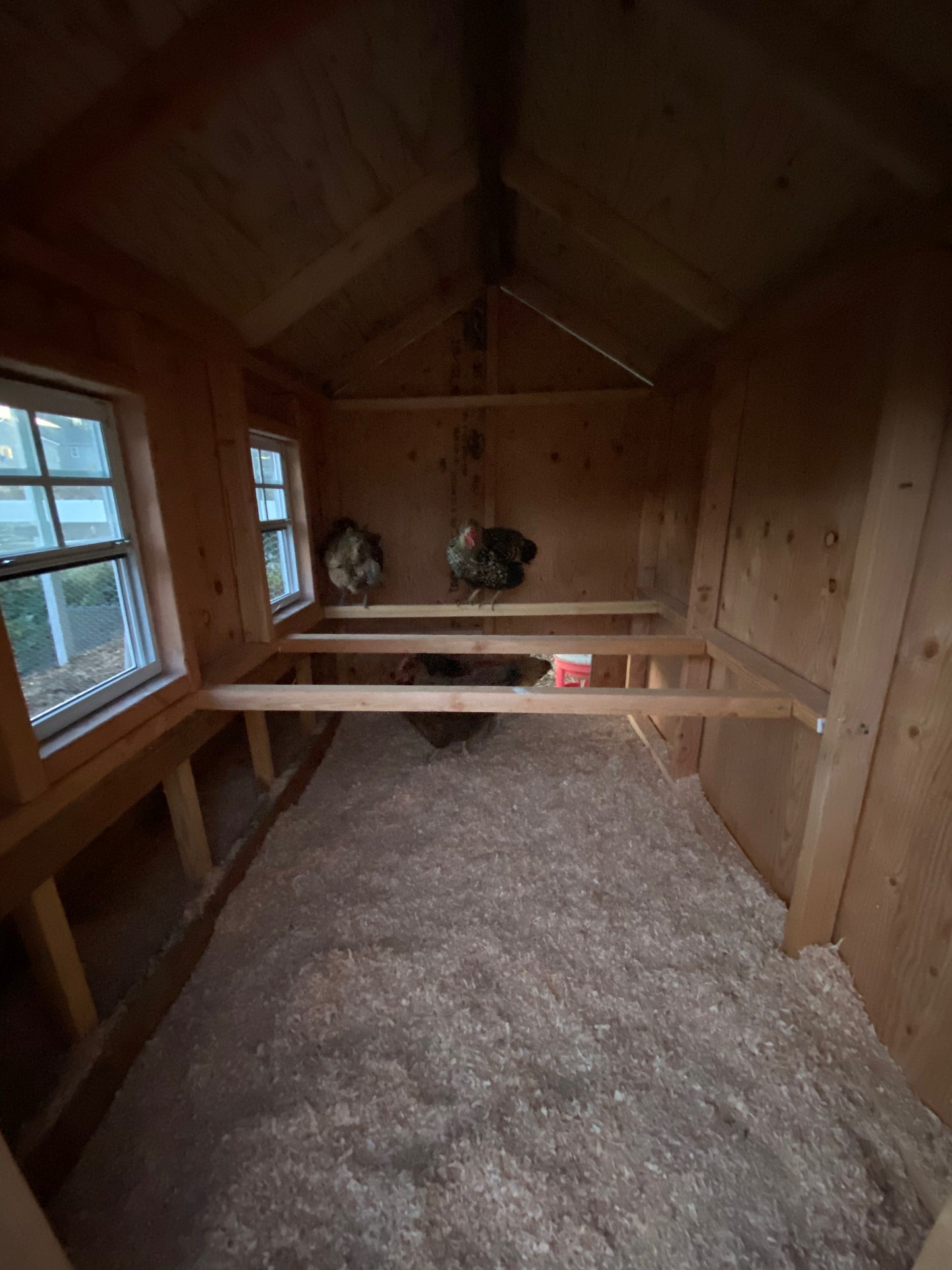 Large Chicken Coop Plans