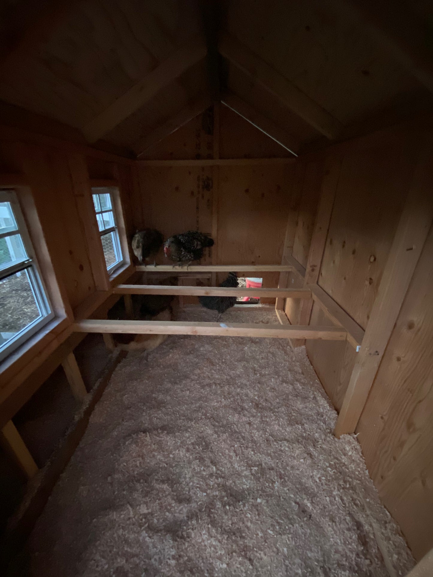 Large Chicken Coop Plans