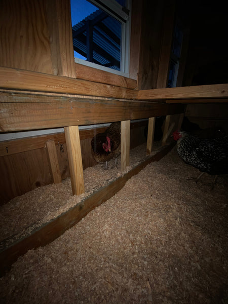 Large Chicken Coop Plans
