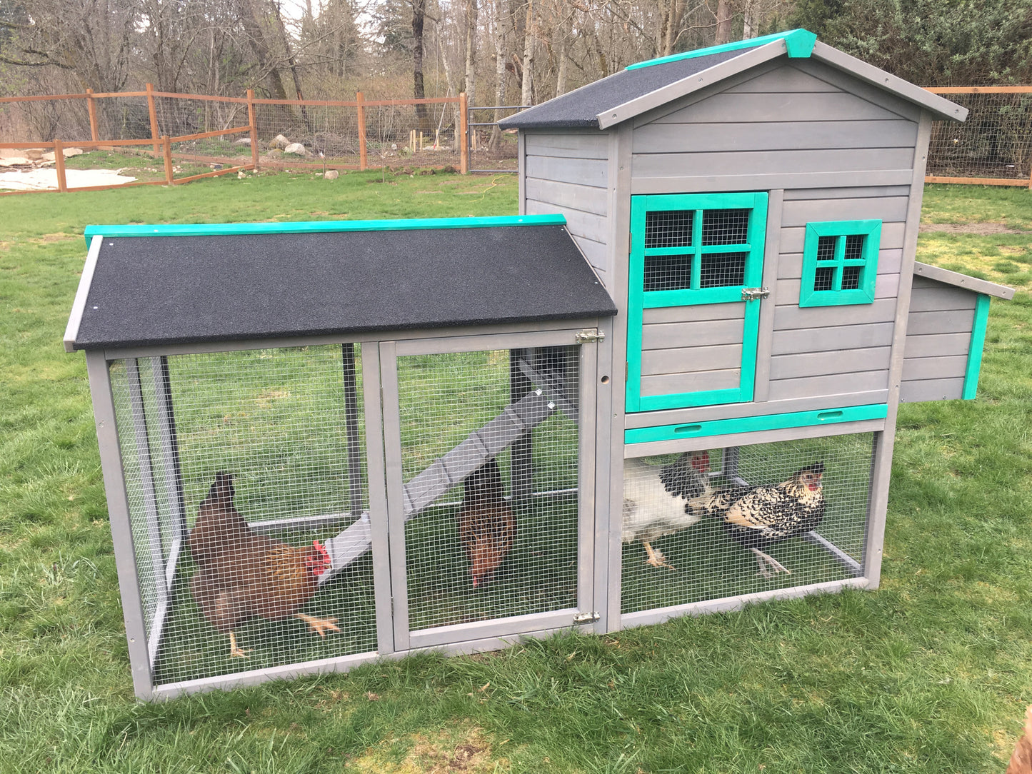The Lodge Coop.   IN-STOCK