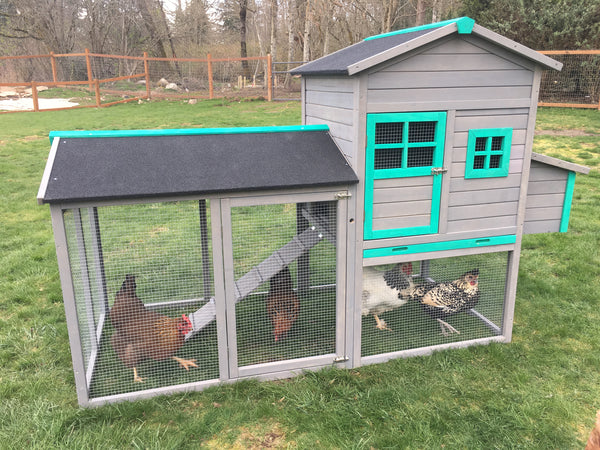 The Lodge Coop.   IN-STOCK