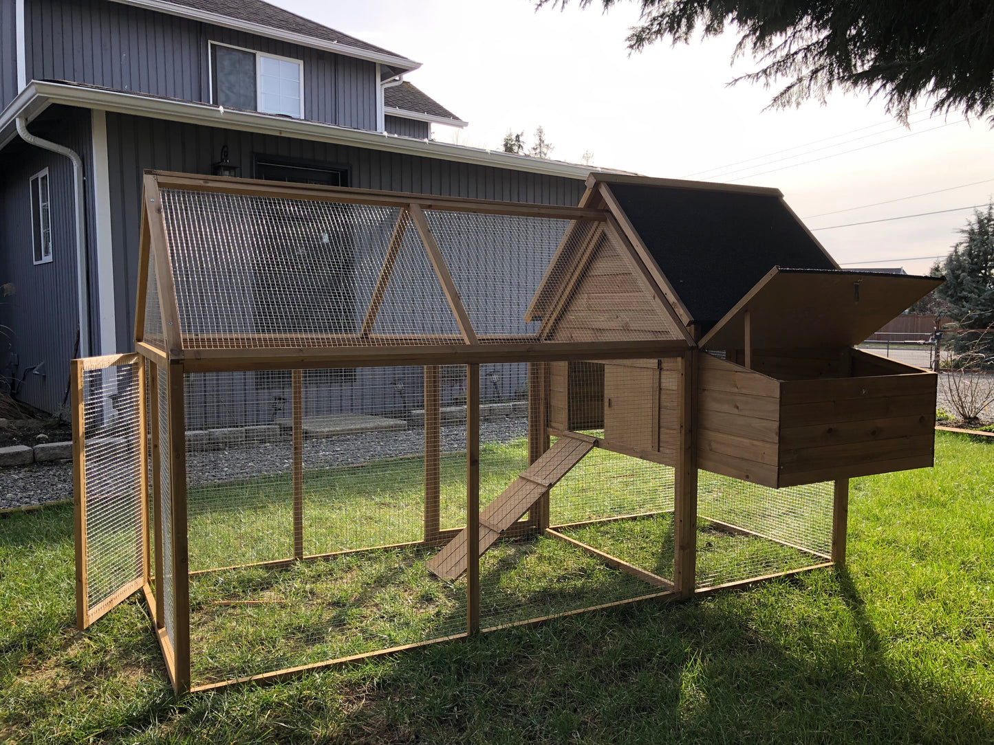 KONA COOP for 6-8 Hens